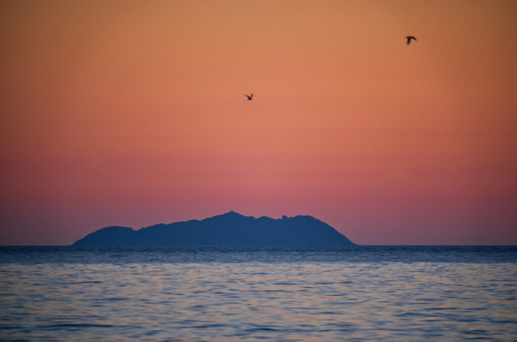Gorgona da Marina Di Pisa